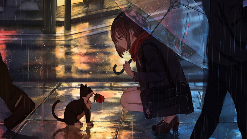 Featured image of post 2024獬豸杯